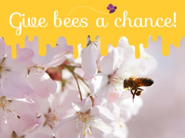 Give Bees a Chance